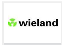 德國(guó)WIELAND繼電器