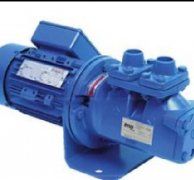 美國(guó)Zenith Pumps泵