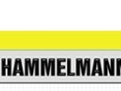 德國(guó)Hammelmann高壓泵